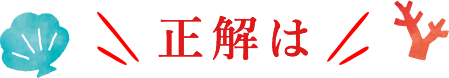 正解は