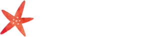 海篇のクイズ